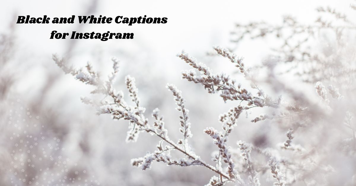 black-and-white-captions-for-instagram
