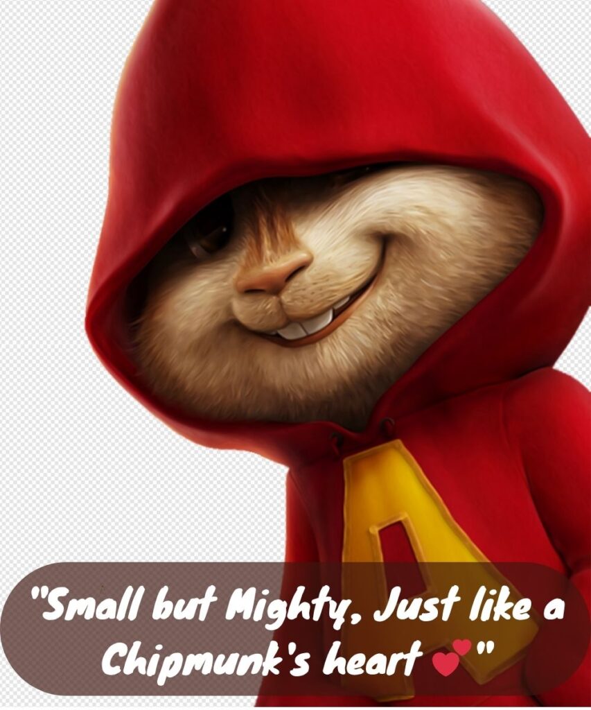 cute-chipmunk-captions