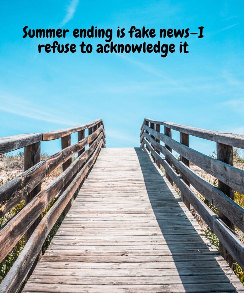 funny-summer-goodbye-captions-for-your-posts