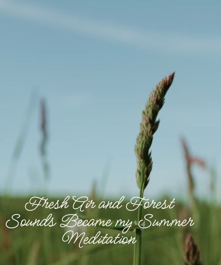 nature-and-outdoor-summer-goodbye-captions