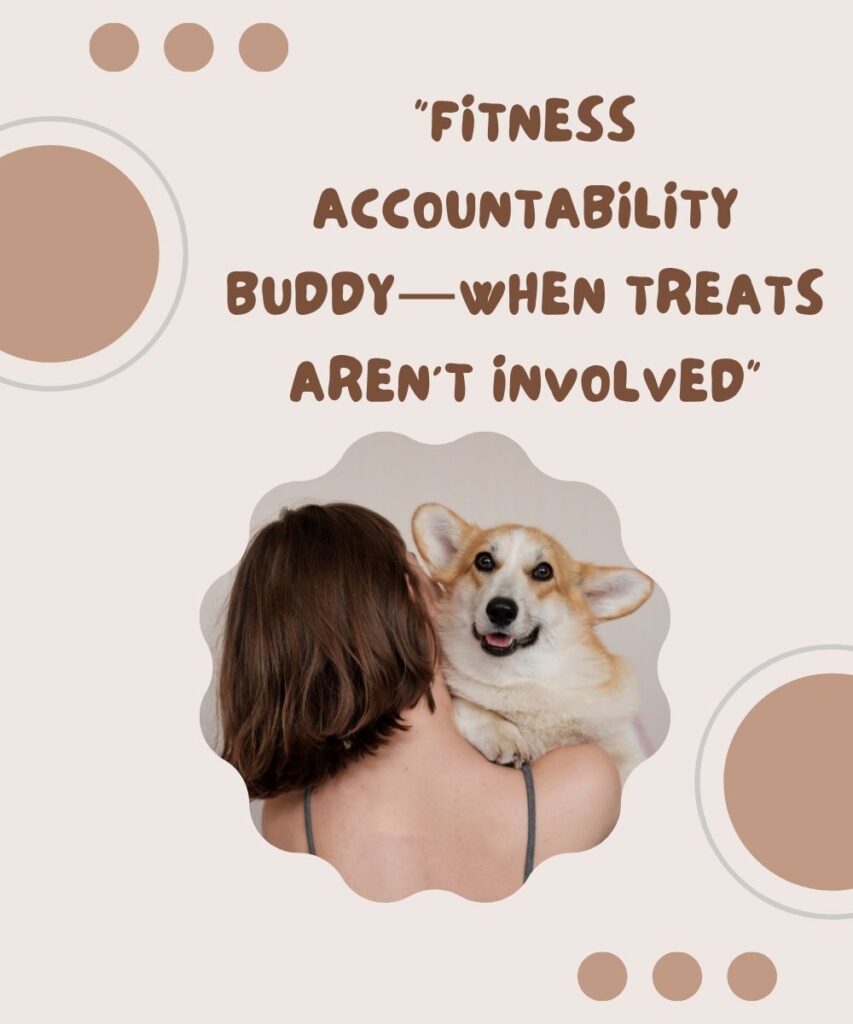 pet-exercise-and-activity-funny-captions