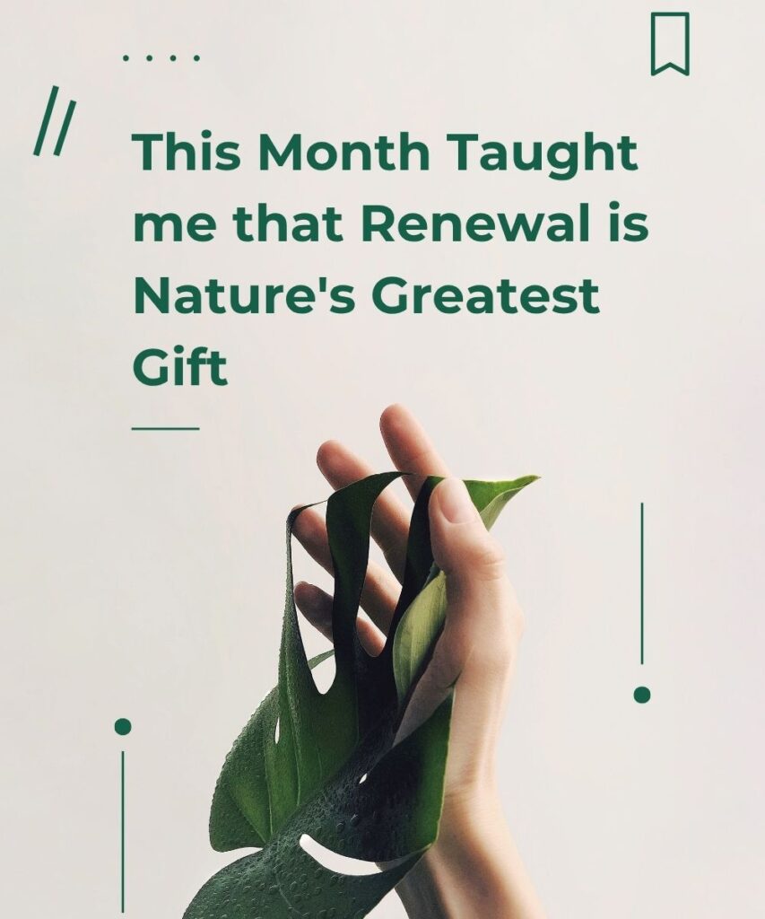 seasonal-end-of-month-captions