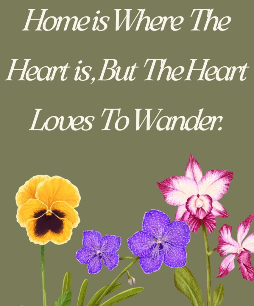travel-themed-first-post-captions-for-wanderlust-souls